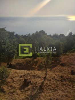 Parcel 1.178sqm for sale-Mouresi » Agios Ioannis