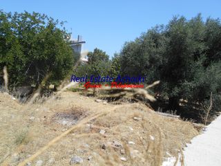Οικόπεδο 4.300 τ.μ. προς πώληση, Σωτήρας Αιγίου-thumb-5