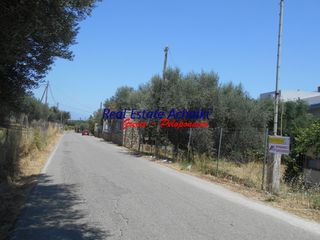 Οικόπεδο 4.300 τ.μ. προς πώληση, Σωτήρας Αιγίου-thumb-9