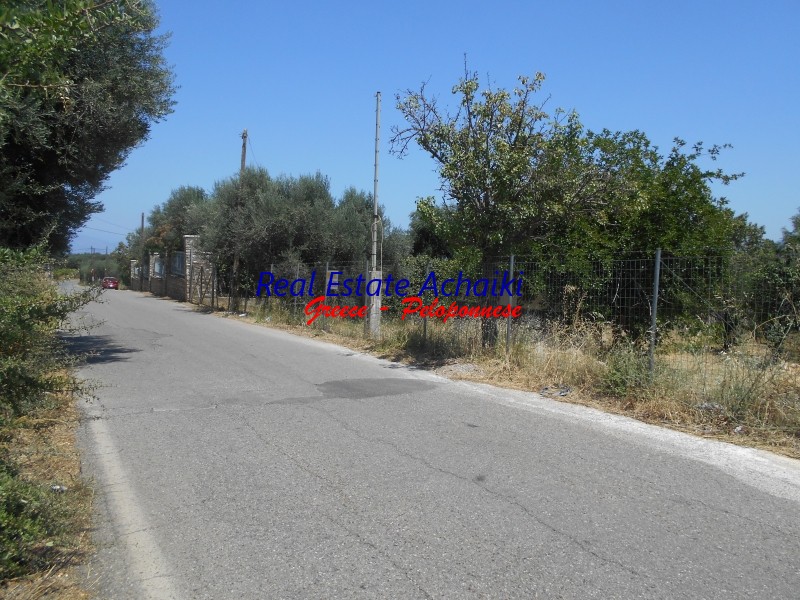 Οικόπεδο 4.300 τ.μ. προς πώληση, Σωτήρας Αιγίου