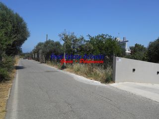 Οικόπεδο 4.300 τ.μ. προς πώληση, Σωτήρας Αιγίου-thumb-7