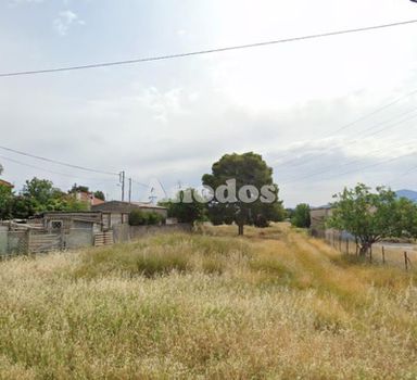 Land plot 16.500sqm for rent-Avlona