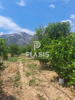 Parcel 2.875sqm for sale-Marathonas