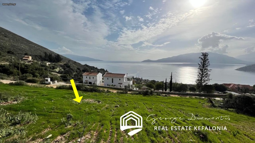 Αγροτεμάχια 5.300 τ.μ. προς πώληση, Πύλαρος