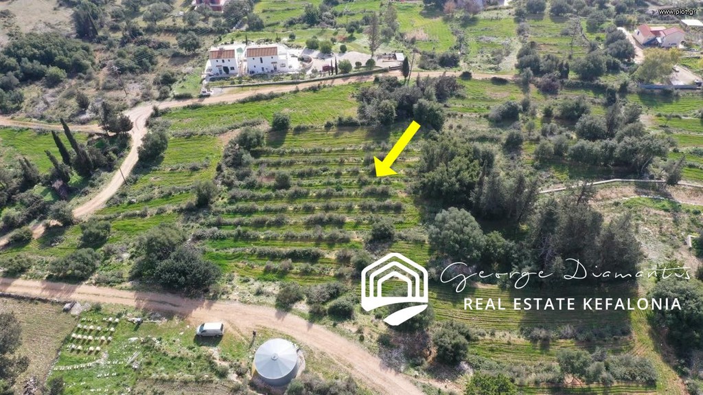 Αγροτεμάχια 5.300 τ.μ. προς πώληση, Πύλαρος