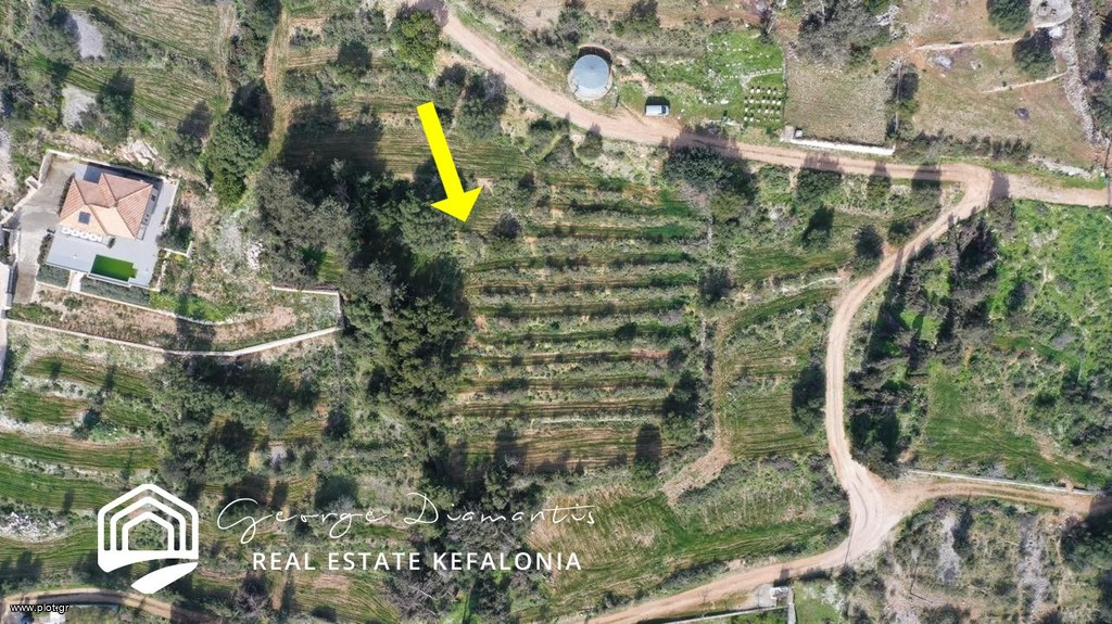 Αγροτεμάχια 5.300 τ.μ. προς πώληση, Πύλαρος