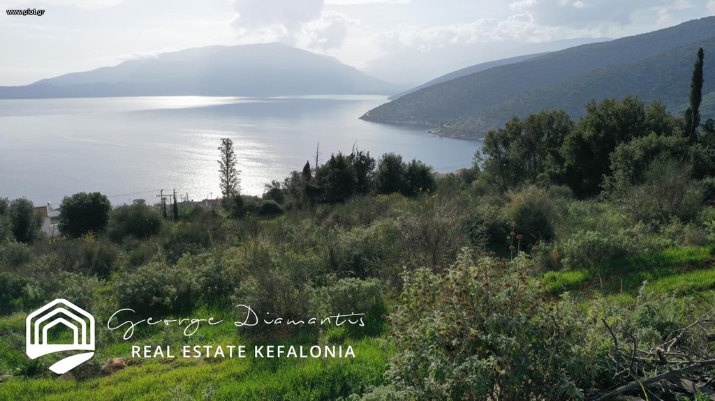 Αγροτεμάχια 5.300 τ.μ. προς πώληση, Πύλαρος