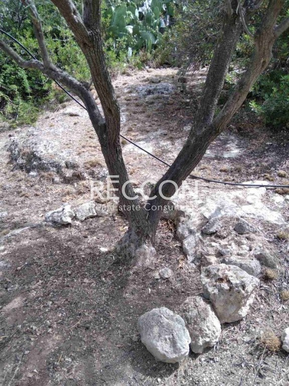 Αγροτεμάχια 1.325 τ.μ. προς πώληση, Καπότηδες