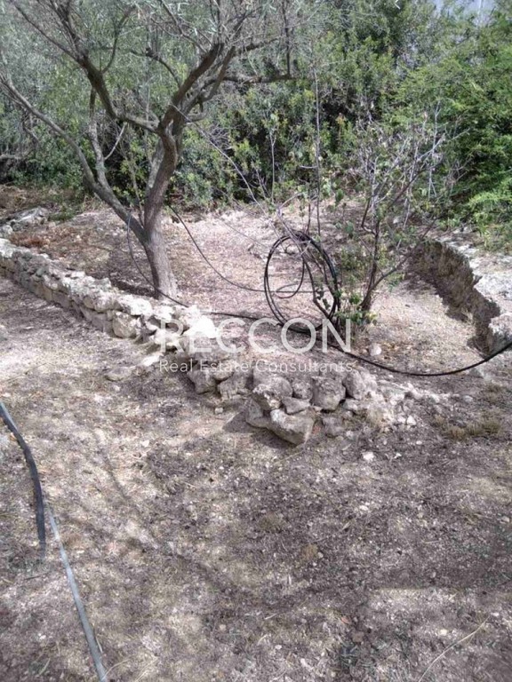 Αγροτεμάχια 1.325 τ.μ. προς πώληση, Καπότηδες