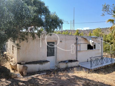 Μονοκατοικία 70τ.μ. για πώληση-Αμπελάκια