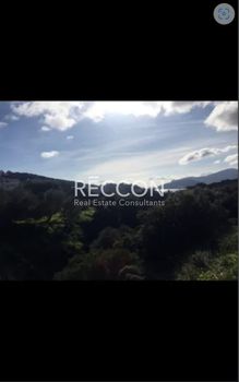 Οικόπεδο 3.903τ.μ. για πώληση-Μαρκόπουλο » Πόρτο ράφτη