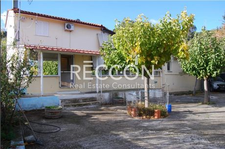 Μονοκατοικία 140τ.μ. για πώληση-Ταμύνες » Τραχήλι