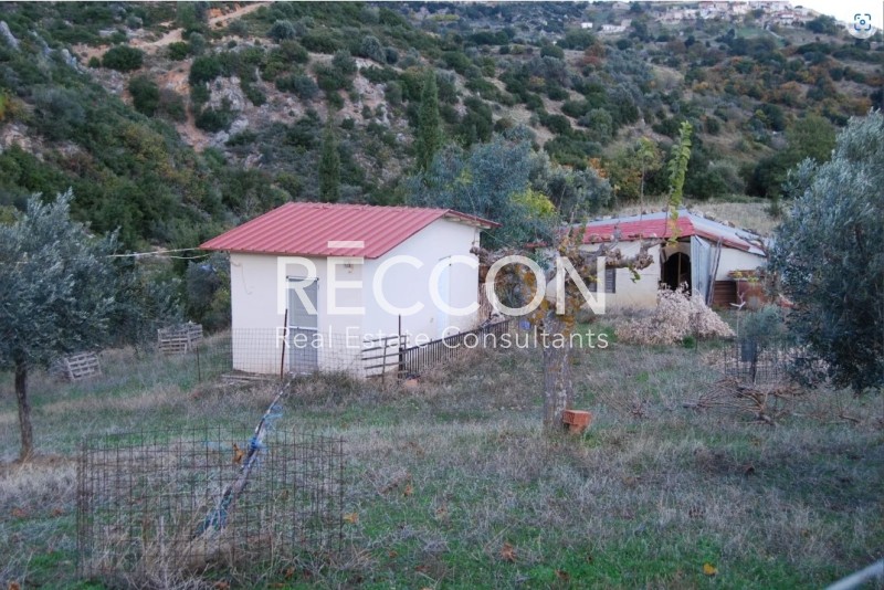 Μονοκατοικία 140 τ.μ. πρός πώληση, Εύβοια, Ταμύνες