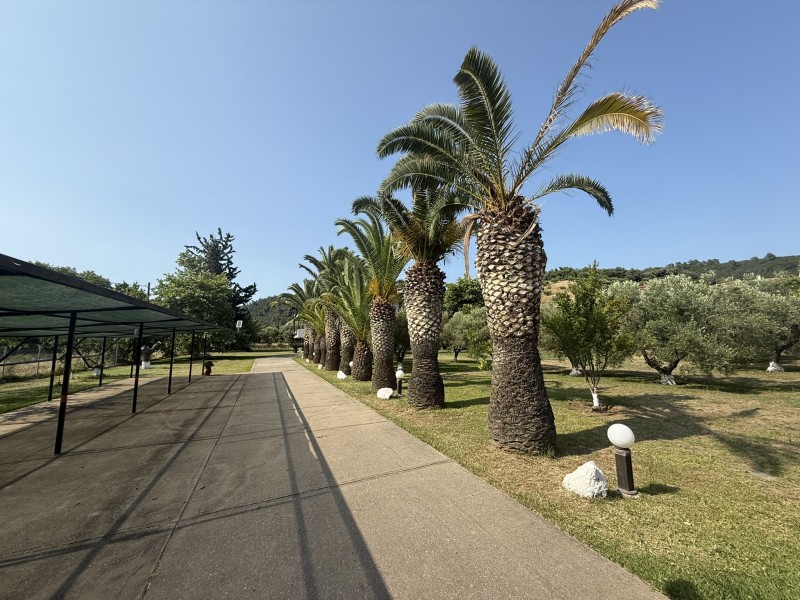 Βίλλα 360 τ.μ. πρός πώληση, Χαλκιδική, Σιθωνία