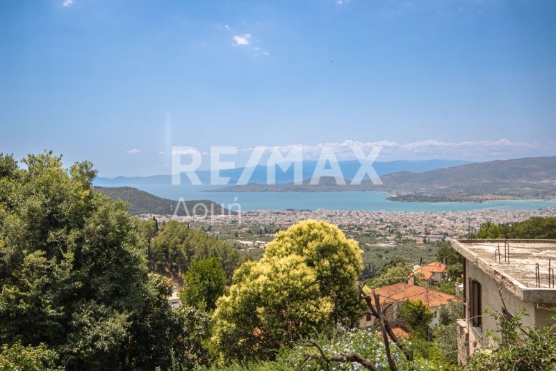 Οικόπεδο 287 τ.μ. πρός πώληση, Μαγνησία, Ιωλκός