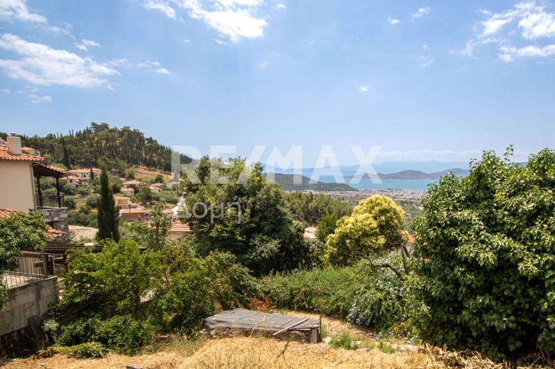 Οικόπεδο 287 τ.μ. πρός πώληση, Μαγνησία, Ιωλκός