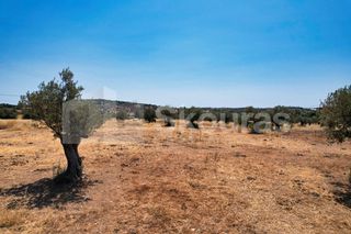 Αγροτεμάχια 4.100 τ.μ. για πώληση, Αργολίδα, Κρανίδι-thumb-10