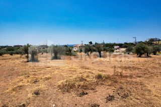 Αγροτεμάχια 4.100 τ.μ. για πώληση, Αργολίδα, Κρανίδι-thumb-24