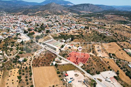 Αγροτεμάχια 4.100τ.μ. για πώληση-Κρανίδι