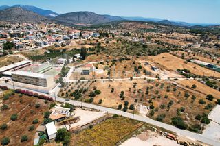 Αγροτεμάχια 4.100 τ.μ. για πώληση, Αργολίδα, Κρανίδι-thumb-19