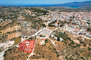 Αγροτεμάχια 4.100 τ.μ. για πώληση, Αργολίδα, Κρανίδι-thumb-1