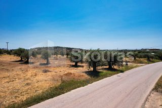 Αγροτεμάχια 4.100 τ.μ. για πώληση, Αργολίδα, Κρανίδι-thumb-8
