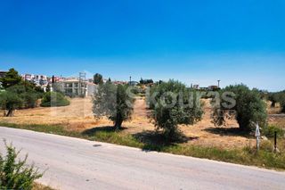 Αγροτεμάχια 4.100 τ.μ. για πώληση, Αργολίδα, Κρανίδι-thumb-7