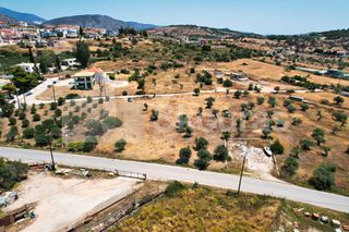 Αγροτεμάχια 4.100 τ.μ. για πώληση, Αργολίδα, Κρανίδι-thumb-20