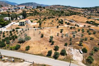 Αγροτεμάχια 4.100 τ.μ. για πώληση, Αργολίδα, Κρανίδι-thumb-5
