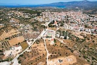 Αγροτεμάχια 4.100 τ.μ. για πώληση, Αργολίδα, Κρανίδι-thumb-16