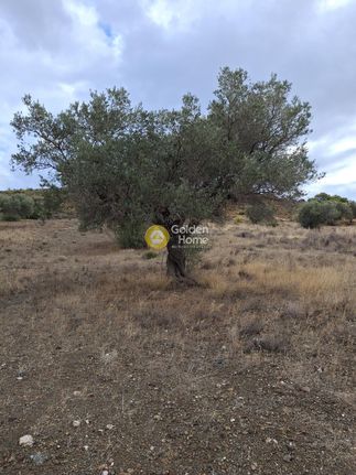 Parcel 2.051 sqm for sale, Rest Of Attica, Keratea
