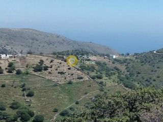 Αγροτεμάχια 16.500 τ.μ. για πώληση