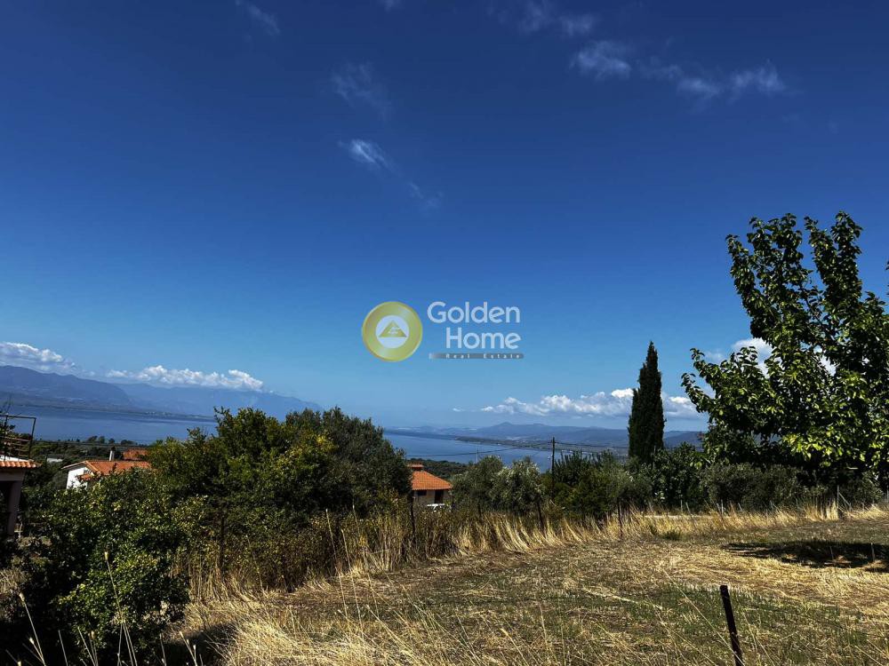 Land plot 758 sqm for sale, Lichada Center