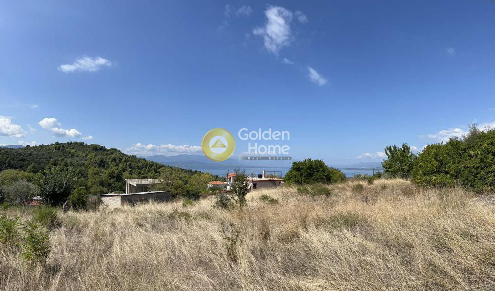 Land plot 758 sqm for sale, Lichada Center