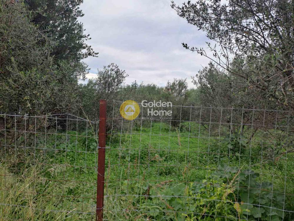 Οικόπεδο 725 τ.μ. προς πώληση, Μερτικαίικα