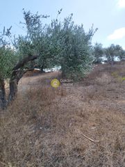 Αγροτεμάχια 1.101 τ.μ. για πώληση
