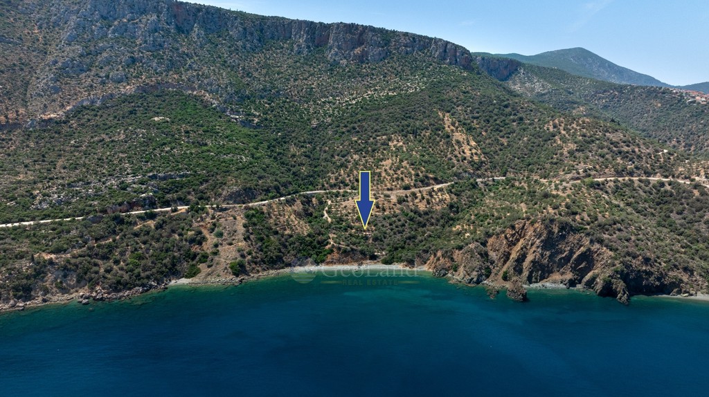 Αγροτεμάχια 4.227 τ.μ. προς πώληση, Σαμπατική