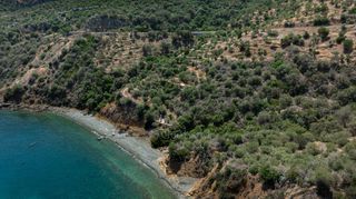 Αγροτεμάχια 4.227 τ.μ. προς πώληση, Σαμπατική-thumb-17
