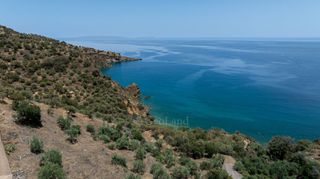 Αγροτεμάχια 4.227 τ.μ. προς πώληση, Σαμπατική-thumb-15
