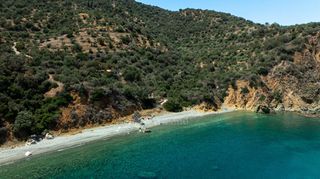Αγροτεμάχια 4.227 τ.μ. προς πώληση, Σαμπατική-thumb-23