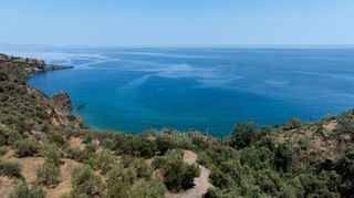 Αγροτεμάχια 4.227 τ.μ. προς πώληση, Σαμπατική-thumb-8
