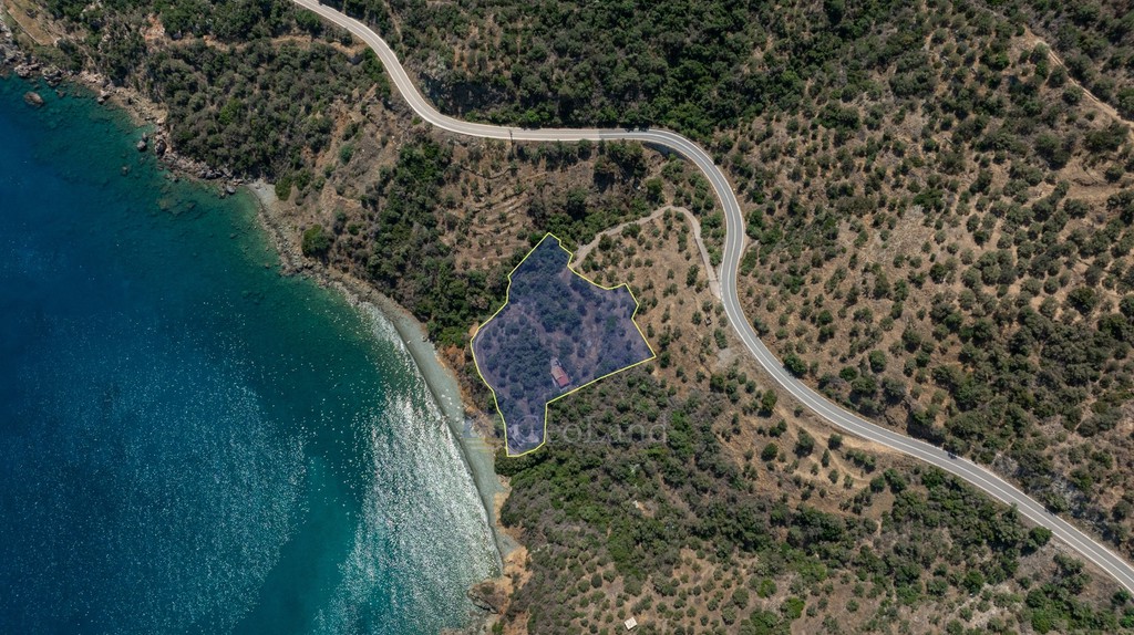 Αγροτεμάχια 4.227 τ.μ. προς πώληση, Σαμπατική