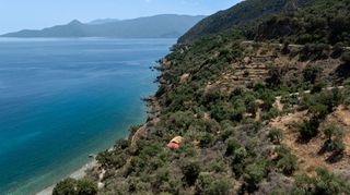 Αγροτεμάχια 4.227 τ.μ. προς πώληση, Σαμπατική-thumb-12