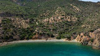 Αγροτεμάχια 4.227 τ.μ. προς πώληση, Σαμπατική-thumb-21