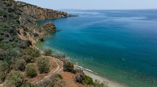 Αγροτεμάχια 4.227 τ.μ. προς πώληση, Σαμπατική-thumb-24