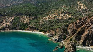 Αγροτεμάχια 4.227 τ.μ. προς πώληση, Σαμπατική-thumb-6