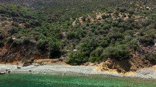 Αγροτεμάχια 4.227 τ.μ. προς πώληση, Σαμπατική-thumb-22