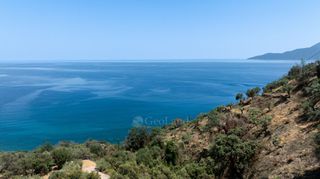 Αγροτεμάχια 4.227 τ.μ. προς πώληση, Σαμπατική-thumb-13