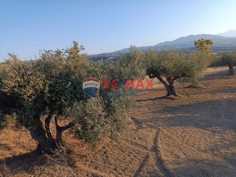 Οικόπεδο 2.700τ.μ. για πώληση-Γούβες