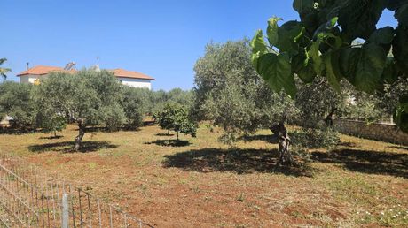 Οικόπεδο 1.455τ.μ. για πώληση-Νικηφόρος φωκάς » Πρινές
